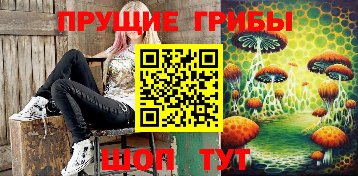 Галлюциногенные грибы GOLDEN TEACHER Кудымкар